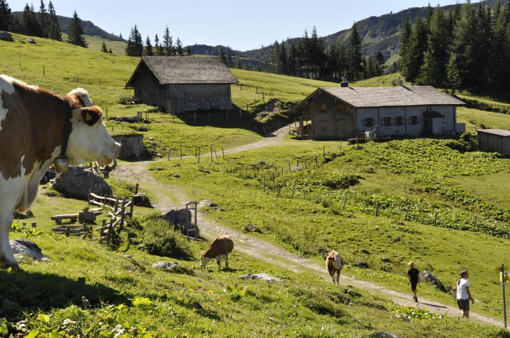 Landhaus Koller Gosau Exterior foto